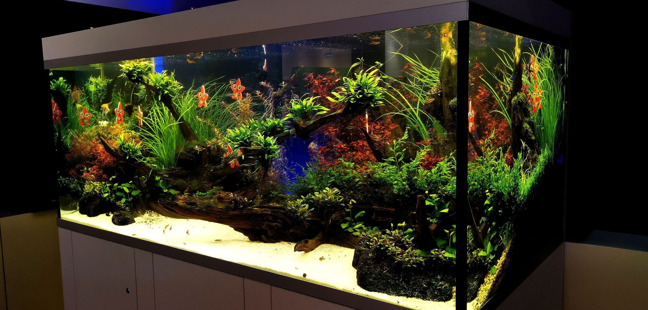 Aquarium bauen lassen  Aquariumbau in Deutschland